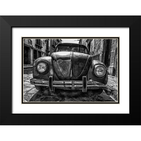 Hangin in There Black Modern Wood Framed Art Print with Double Matting by Vintage Photo Archive