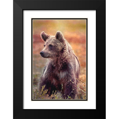 Brown Bear Black Modern Wood Framed Art Print with Double Matting by Alpenglow Workshop