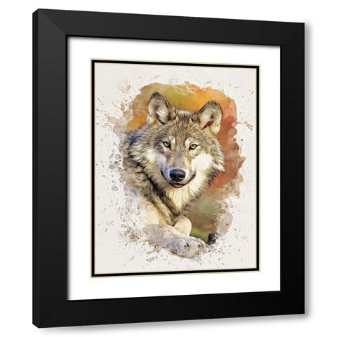 Gray Wolf Black Modern Wood Framed Art Print with Double Matting by Alpenglow Workshop