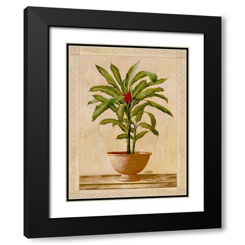 Potted Palm I Black Modern Wood Framed Art Print with Double Matting by Welby