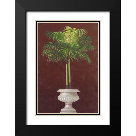 Potted Palm in Red II Black Modern Wood Framed Art Print with Double Matting by Welby