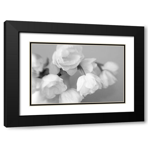 WhiteTulips Black Modern Wood Framed Art Print with Double Matting by Stalus, Judy