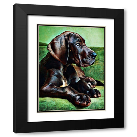 Great Dane Puppy Perfection Black Modern Wood Framed Art Print with Double Matting by Aldridge, Ashley