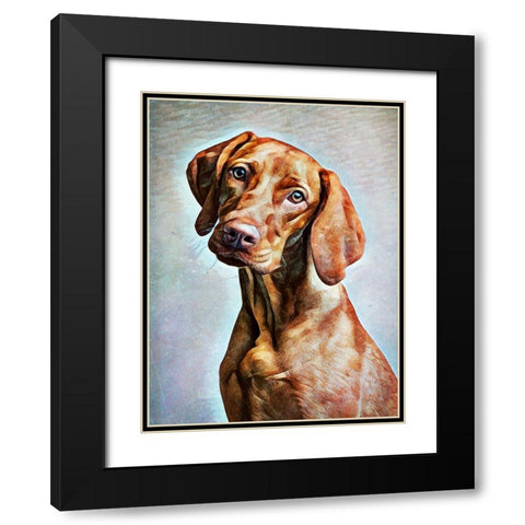 Hungarian Vizsla Adoration Black Modern Wood Framed Art Print with Double Matting by Aldridge, Ashley