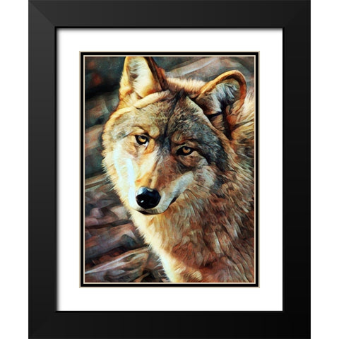 Gray Wolf Glare Black Modern Wood Framed Art Print with Double Matting by Aldridge, Ashley