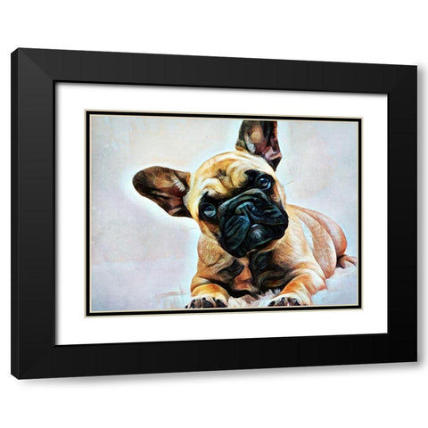 Fawn French Bulldog Puppy Pose Black Modern Wood Framed Art Print with Double Matting by Aldridge, Ashley
