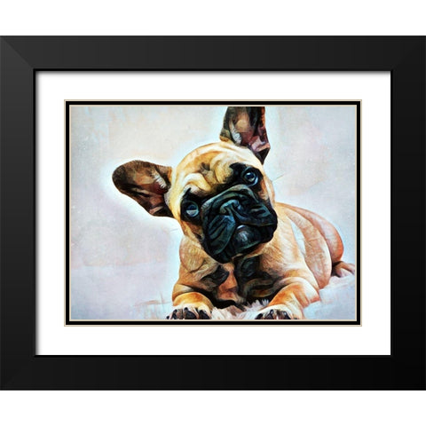 Fawn French Bulldog Puppy Pose Black Modern Wood Framed Art Print with Double Matting by Aldridge, Ashley