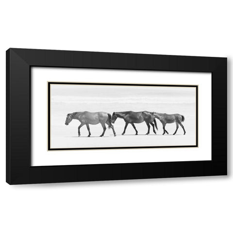 Beach Horse Trio Black Modern Wood Framed Art Print with Double Matting by Curinga, Kim