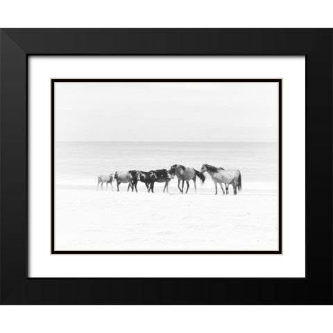 Corolla Beach Horses Black Modern Wood Framed Art Print with Double Matting by Curinga, Kim