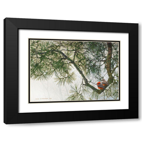 Vermillion Flycatchers on Crooked Branch Black Modern Wood Framed Art Print with Double Matting by Vest, Christopher