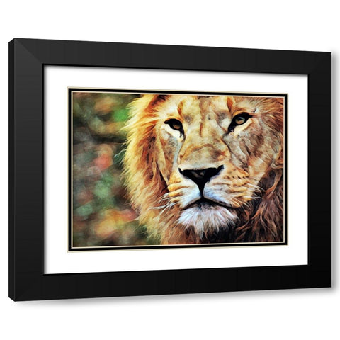 Lion Watch And Wait Black Modern Wood Framed Art Print with Double Matting by Aldridge, Ashley