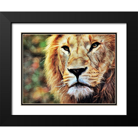 Lion Watch And Wait Black Modern Wood Framed Art Print with Double Matting by Aldridge, Ashley