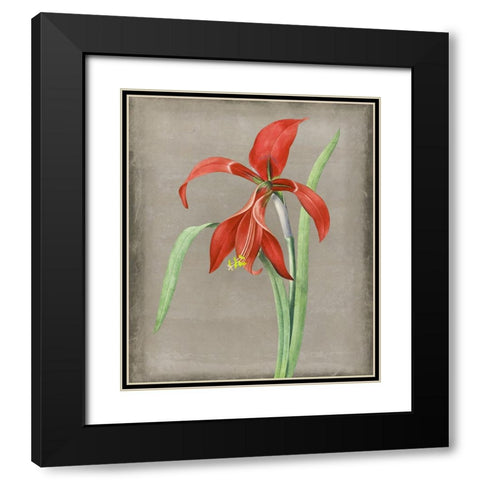 Inthered II Black Modern Wood Framed Art Print with Double Matting by Smith, Karen