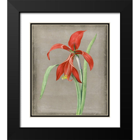 Inthered II Black Modern Wood Framed Art Print with Double Matting by Smith, Karen