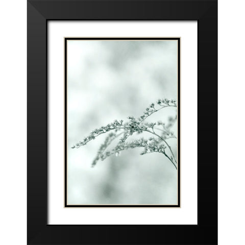 Meadow Black Modern Wood Framed Art Print with Double Matting by Stalus, Judy