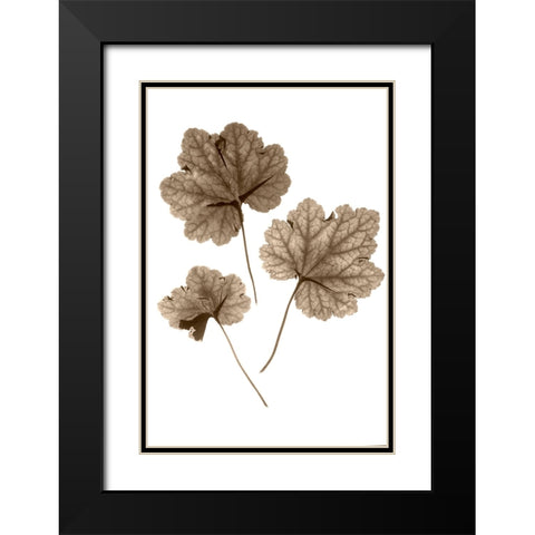 Heucher Black Modern Wood Framed Art Print with Double Matting by Stalus, Judy