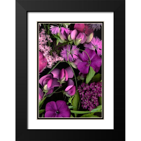 Sweet Pea Tapestry Black Modern Wood Framed Art Print with Double Matting by Stalus, Judy