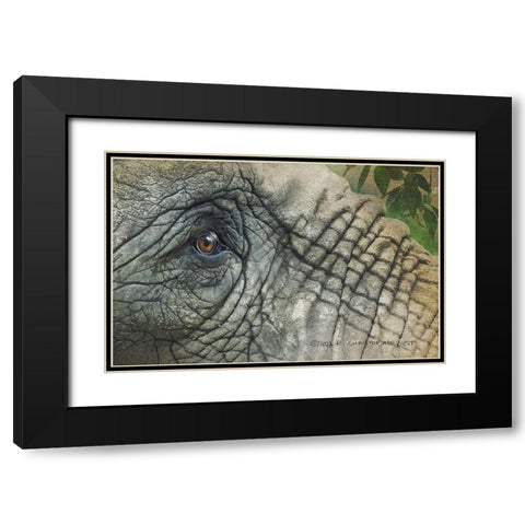 Elephant Eye Black Modern Wood Framed Art Print with Double Matting by Vest, Christopher