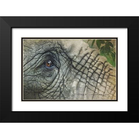 Elephant Eye Black Modern Wood Framed Art Print with Double Matting by Vest, Christopher