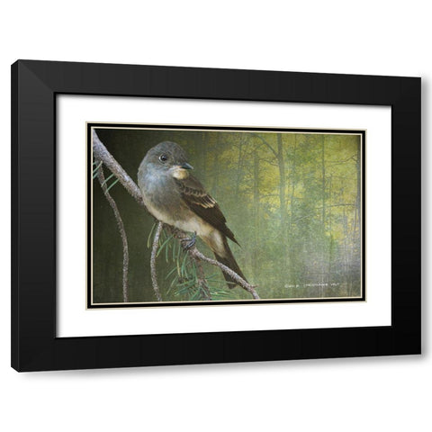 Western Wood Peewee Black Modern Wood Framed Art Print with Double Matting by Vest, Christopher