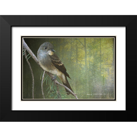 Western Wood Peewee Black Modern Wood Framed Art Print with Double Matting by Vest, Christopher