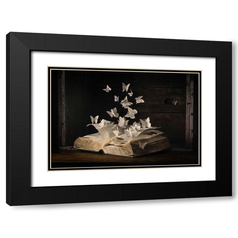 Lepidopterology Black Modern Wood Framed Art Print with Double Matting by Bonadio, Heather