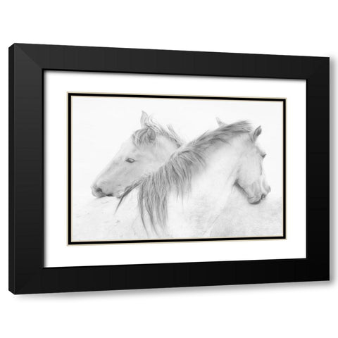 Horses Black Modern Wood Framed Art Print with Double Matting by Stas, Marie-Anne