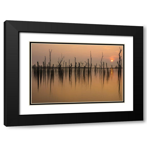 drowned forest Black Modern Wood Framed Art Print with Double Matting by Haaksma, Piet