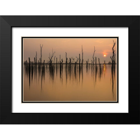 drowned forest Black Modern Wood Framed Art Print with Double Matting by Haaksma, Piet