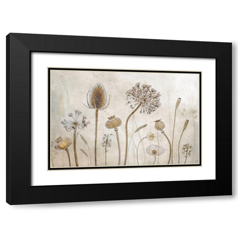 Growing old Black Modern Wood Framed Art Print with Double Matting by Disher, Mandy
