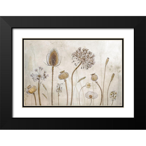 Growing old Black Modern Wood Framed Art Print with Double Matting by Disher, Mandy