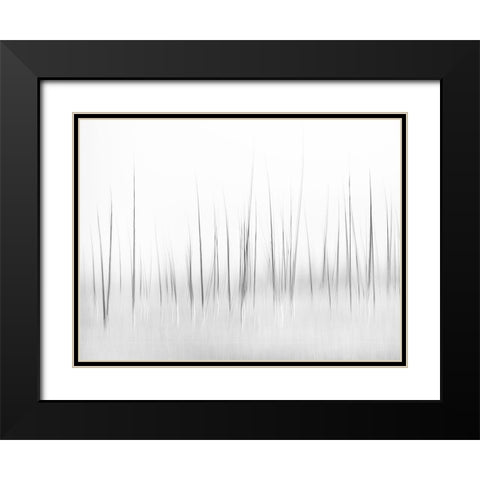 Wintry scenery in Yellowstone Black Modern Wood Framed Art Print with Double Matting by Lai, Charles