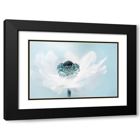 Candy floss Black Modern Wood Framed Art Print with Double Matting by Parker, Jacky