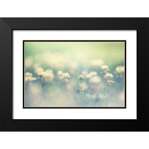 small world Black Modern Wood Framed Art Print with Double Matting by Suzuki, Takashi