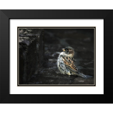 the Wall Black Modern Wood Framed Art Print with Double Matting by Droste, Holger
