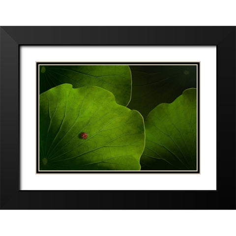 Wanderlust Black Modern Wood Framed Art Print with Double Matting by Bonadio, Heather