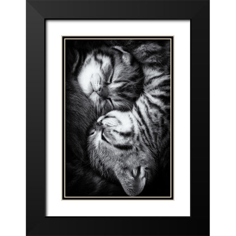 Yin and Yang Black Modern Wood Framed Art Print with Double Matting by Jancova, Andrea