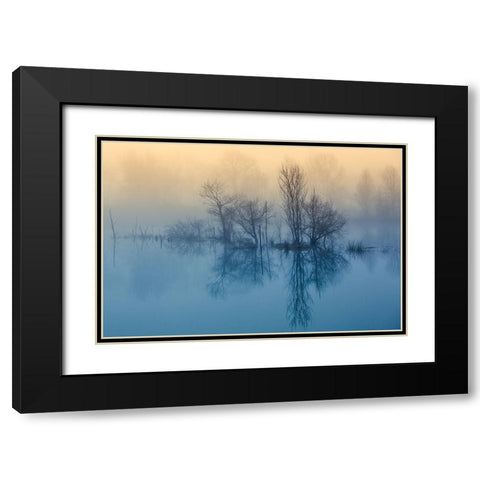 Morning reflection Black Modern Wood Framed Art Print with Double Matting by Butali, David