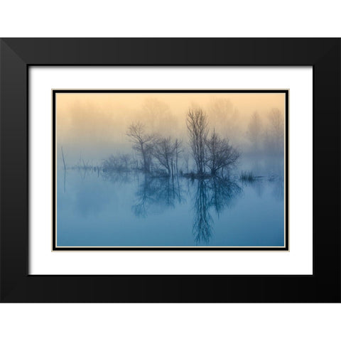 Morning reflection Black Modern Wood Framed Art Print with Double Matting by Butali, David