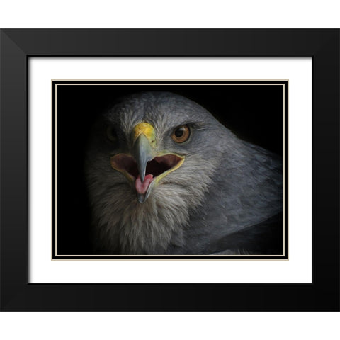 War Cry Black Modern Wood Framed Art Print with Double Matting by valverde, Ferdinando
