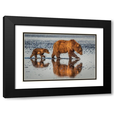 Beauty and the beast Black Modern Wood Framed Art Print with Double Matting by Sink, Jeffrey C