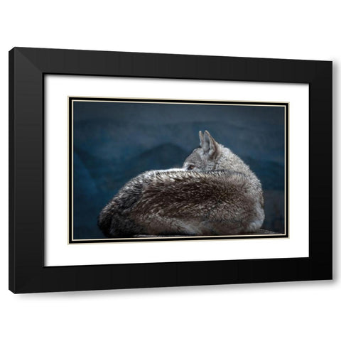 Rainy day eye Black Modern Wood Framed Art Print with Double Matting by Itoyama, Eiji
