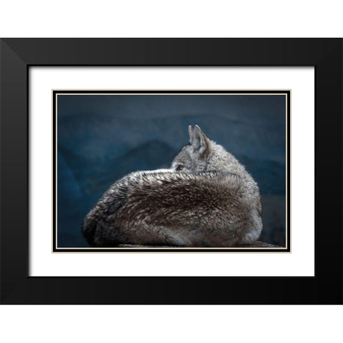 Rainy day eye Black Modern Wood Framed Art Print with Double Matting by Itoyama, Eiji