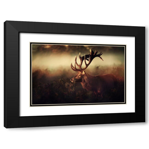 King Black Modern Wood Framed Art Print with Double Matting by Fabrowski, Robert