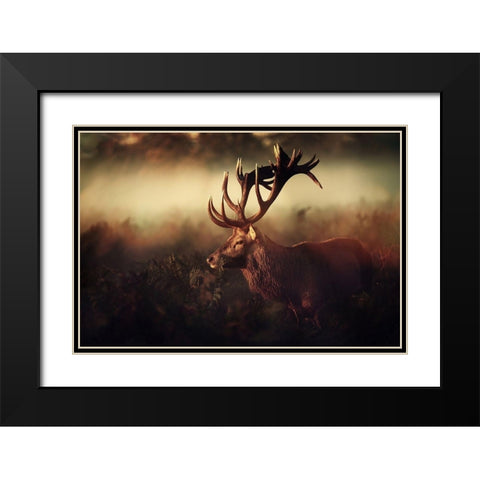 King Black Modern Wood Framed Art Print with Double Matting by Fabrowski, Robert