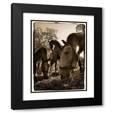 Chow Time Black Modern Wood Framed Art Print with Double Matting by Malovrh, Milan