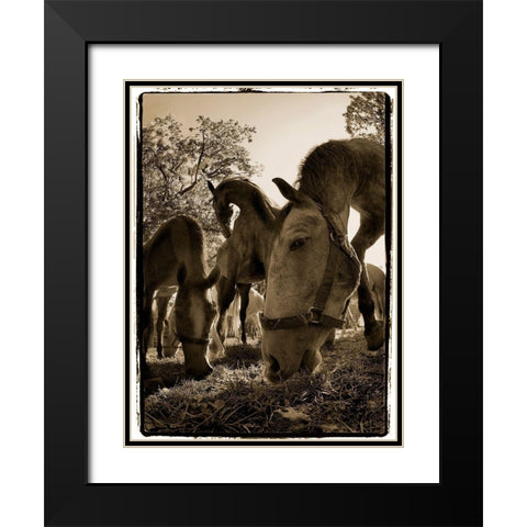 Chow Time Black Modern Wood Framed Art Print with Double Matting by Malovrh, Milan