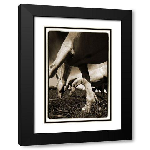 Promenade 2 Black Modern Wood Framed Art Print with Double Matting by Malovrh, Milan