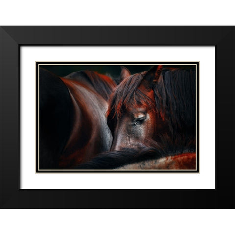 Sleep huddle Black Modern Wood Framed Art Print with Double Matting by Stantchev, Martin