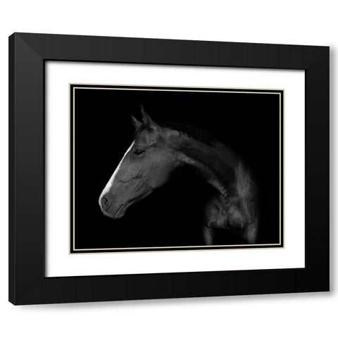 My horse Black Modern Wood Framed Art Print with Double Matting by Kogel, Wieteke de